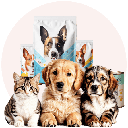 Mama paketleriyle kedi ve köpekler