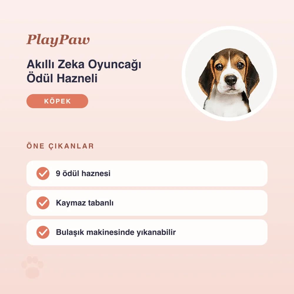 Akıllı Zeka Oyuncağı Ödül Hazneli – öne çıkan özellikler