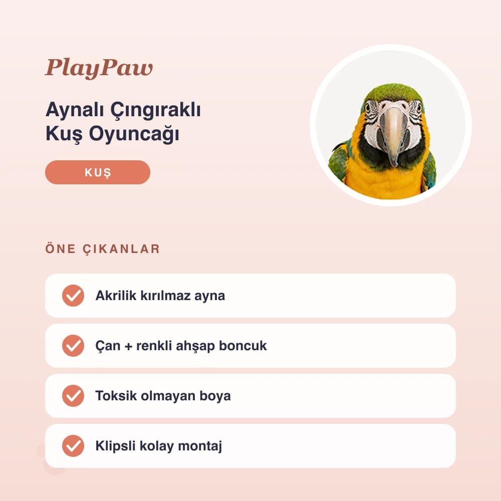 Aynalı Çıngıraklı Kuş Oyuncağı – öne çıkan özellikler