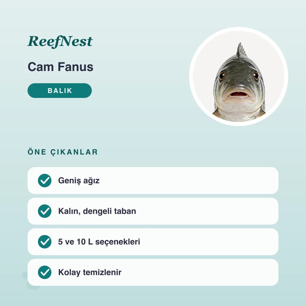 Cam Fanus 5 L – öne çıkan özellikler