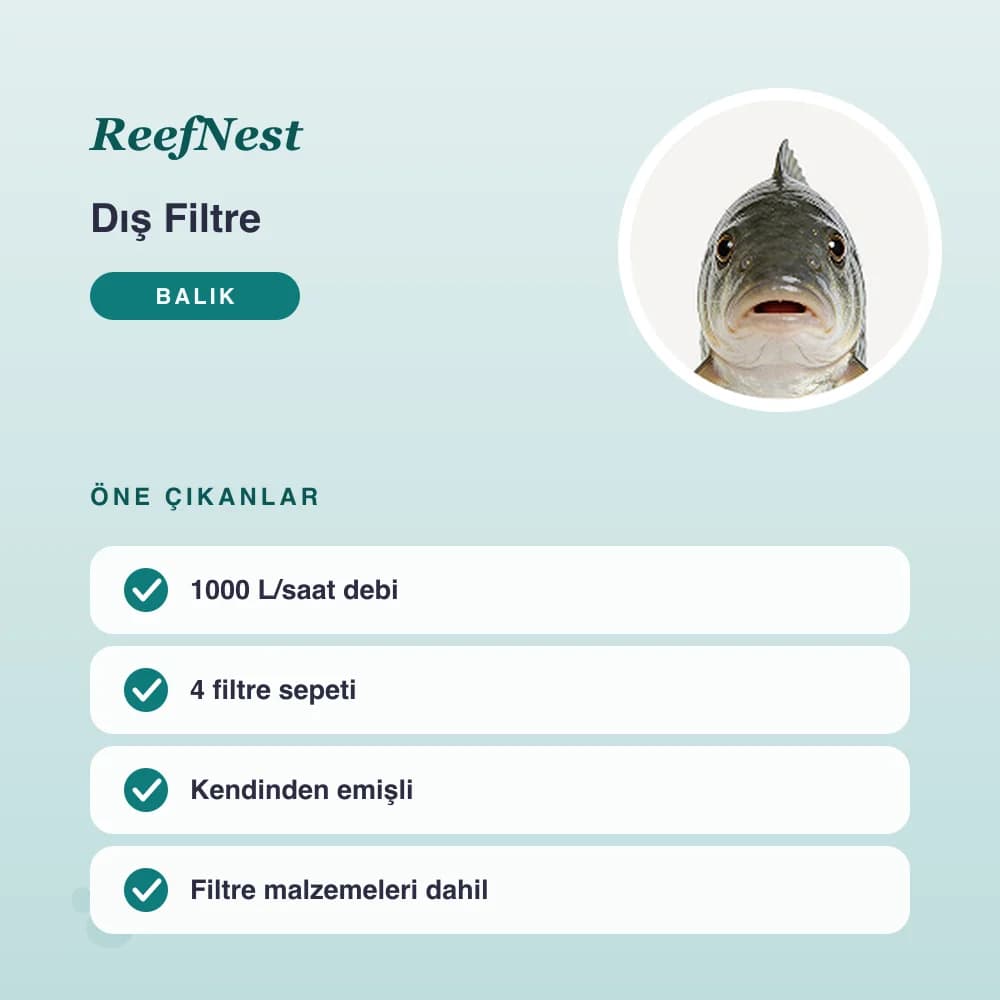 Dış Filtre 1000 L/saat – öne çıkan özellikler