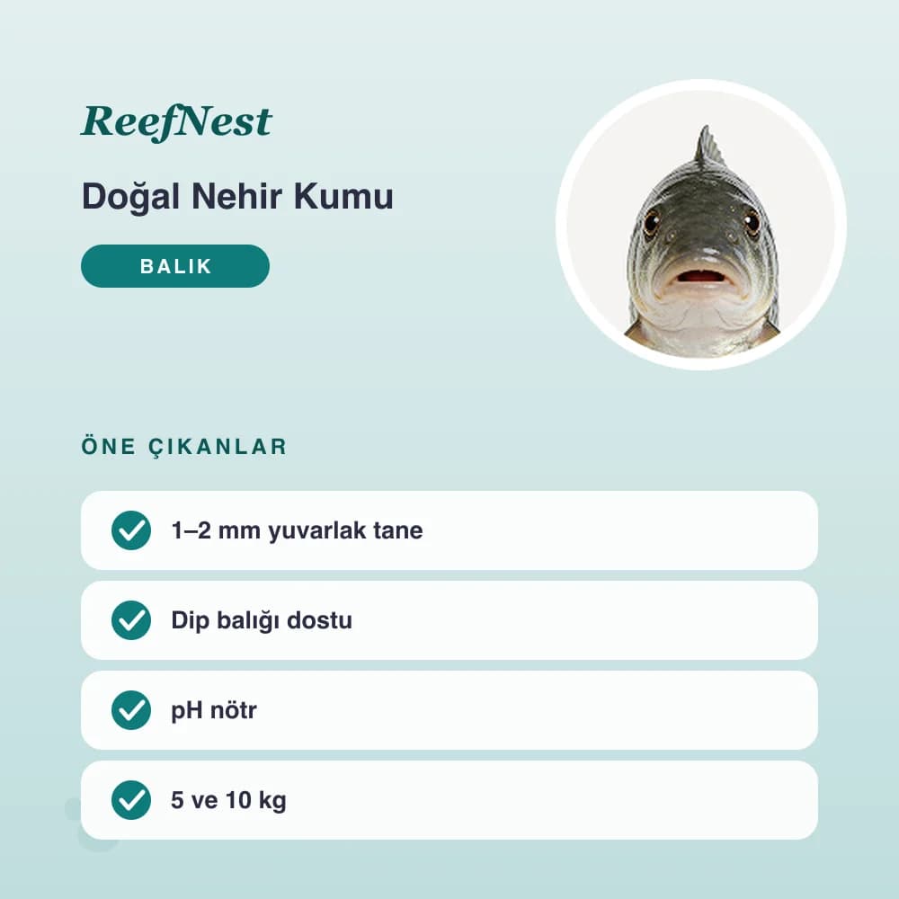 Doğal Nehir Kumu 5 kg – öne çıkan özellikler