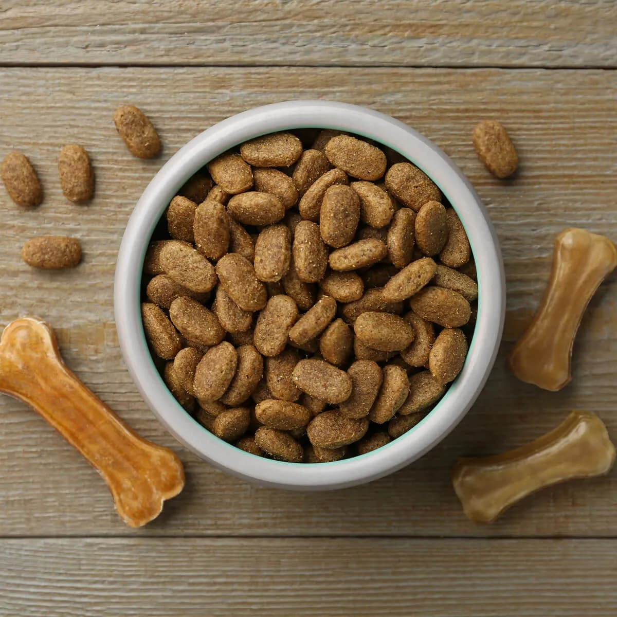 Fırınlanmış Kemik Bisküvi Köpek Ödülü 500 g
