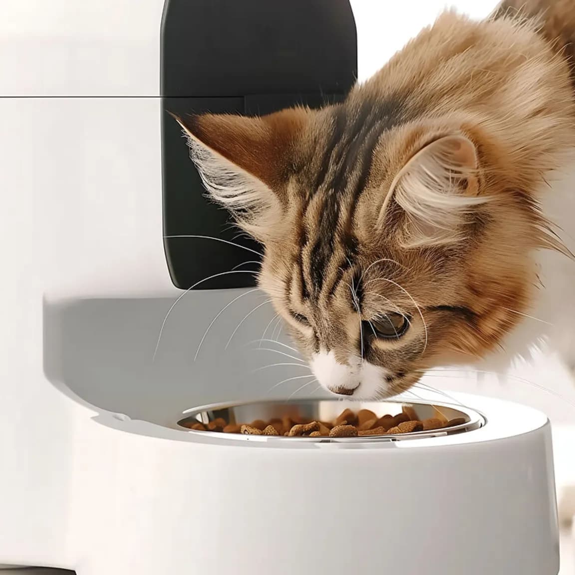 Filtreli Kedi Su Pınarı 2 L – kullanım görseli 1