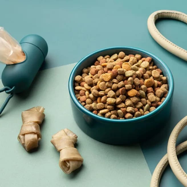 Tavuklu Küçük Irk Yetişkin Köpek Maması 3 kg – kullanım görseli 1