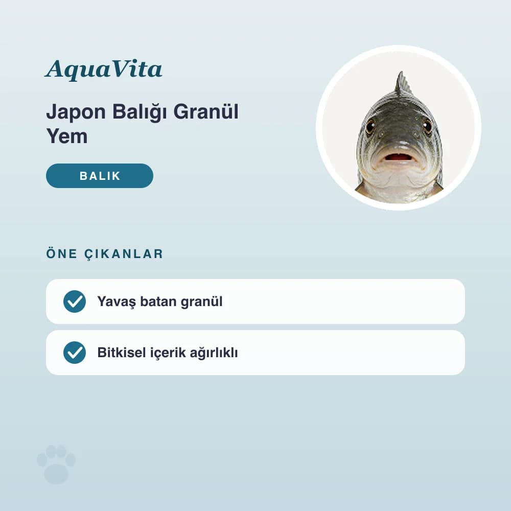 Japon Balığı Granül Yem 100 g – öne çıkan özellikler