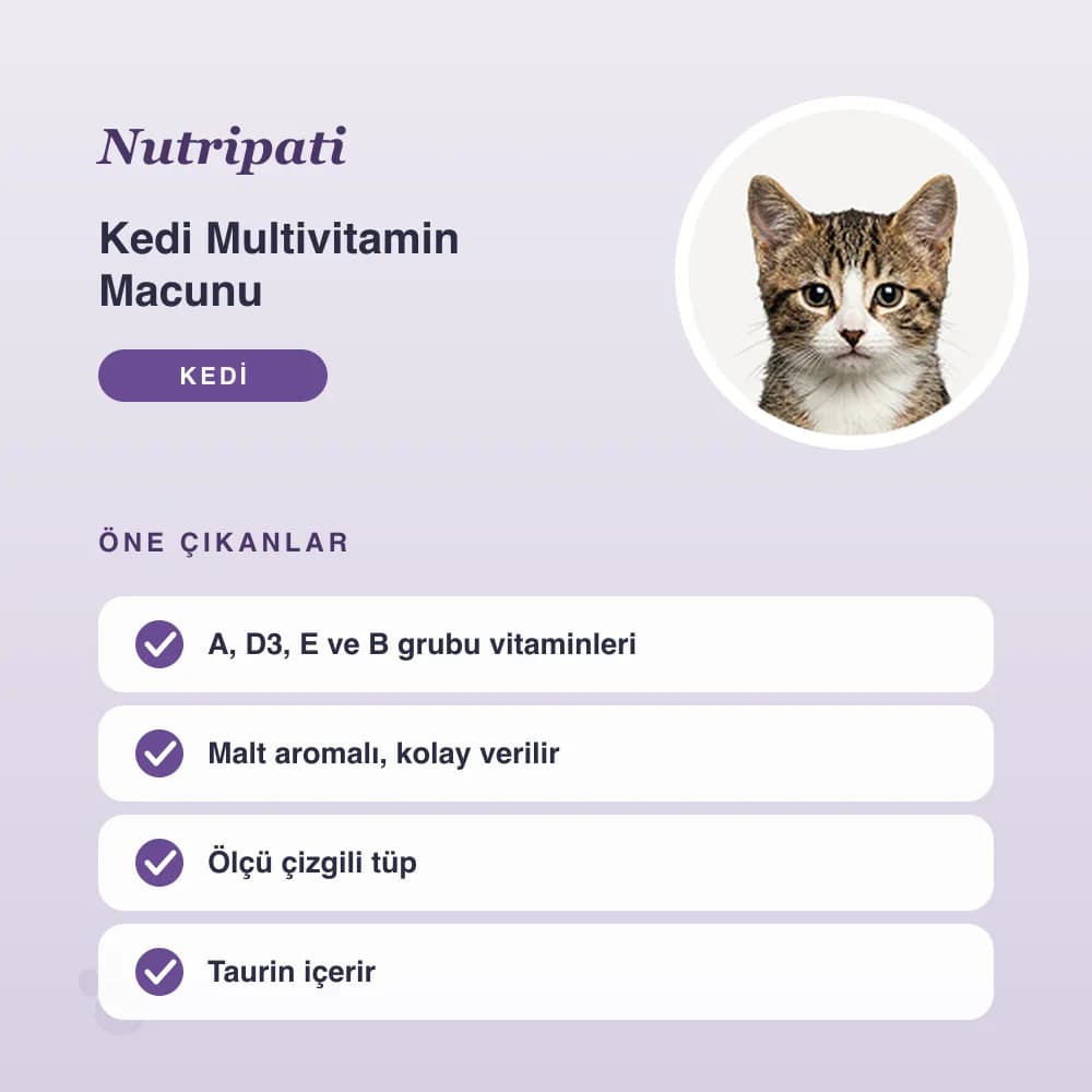 Kedi Multivitamin Macunu 100 g – öne çıkan özellikler