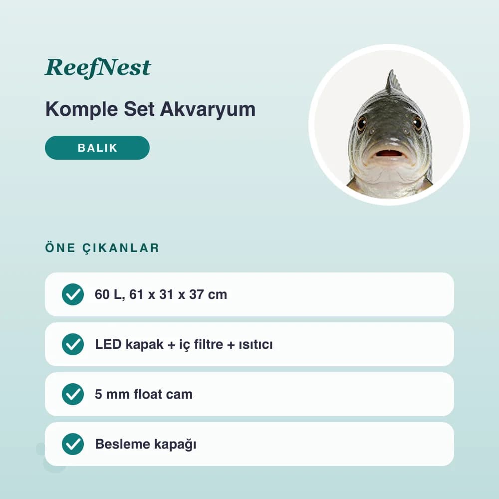 Komple Set Akvaryum 60 L – öne çıkan özellikler