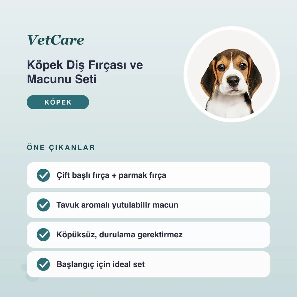 Köpek Diş Fırçası ve Macunu Seti – öne çıkan özellikler