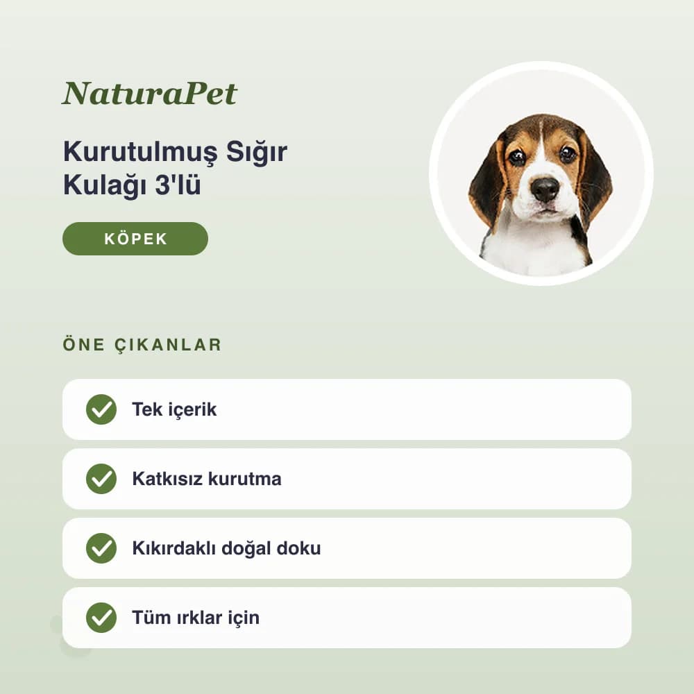 Kurutulmuş Sığır Kulağı 3'lü – öne çıkan özellikler