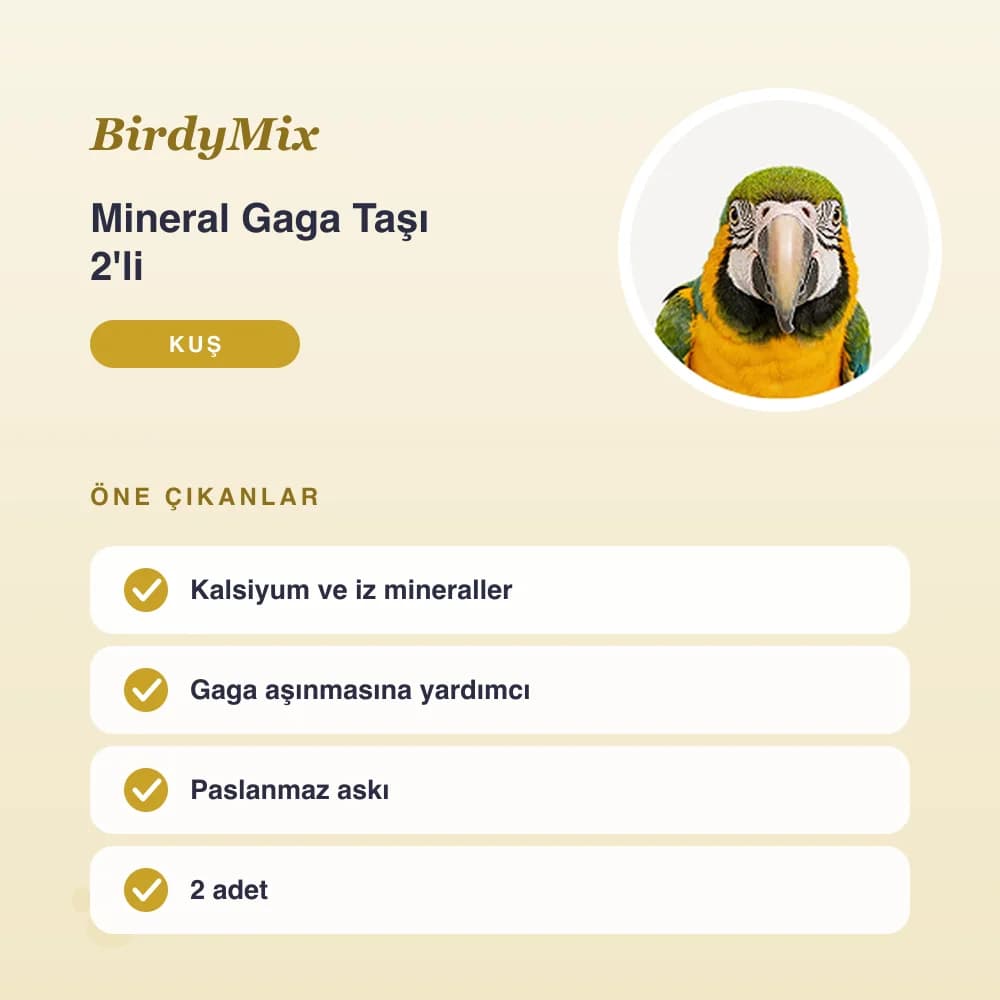 Mineral Gaga Taşı 2'li – öne çıkan özellikler