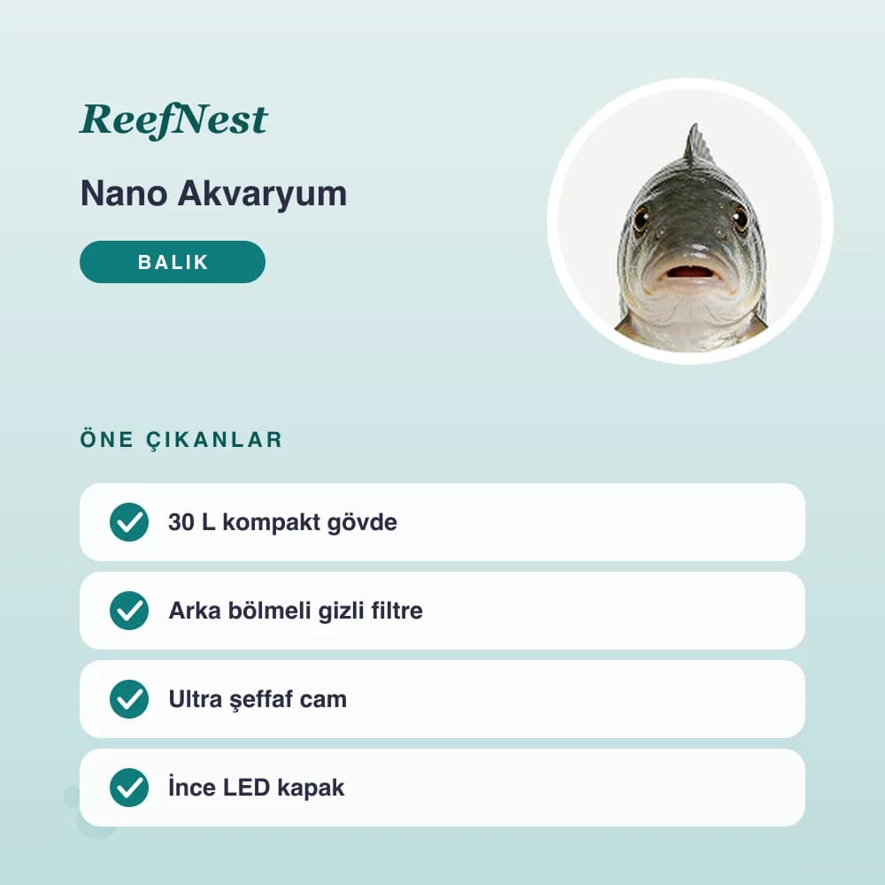 Nano Akvaryum 30 L LED Kapaklı – öne çıkan özellikler