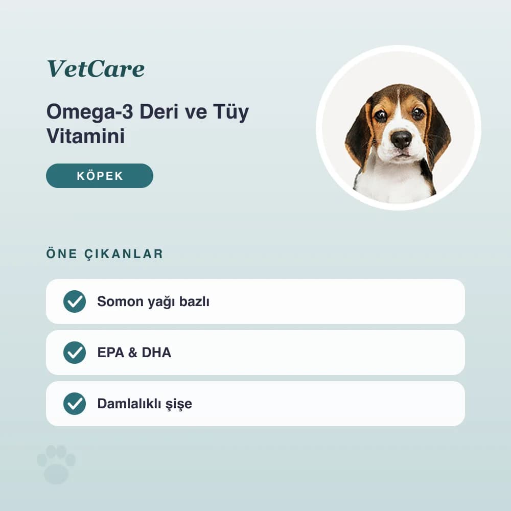 Omega-3 Deri ve Tüy Vitamini 50 ml – öne çıkan özellikler
