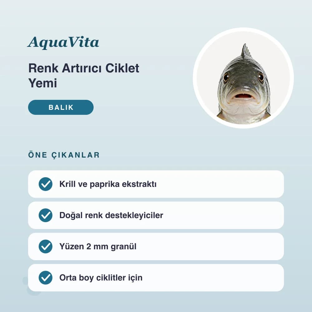 Renk Artırıcı Ciklet Yemi 250 ml – öne çıkan özellikler
