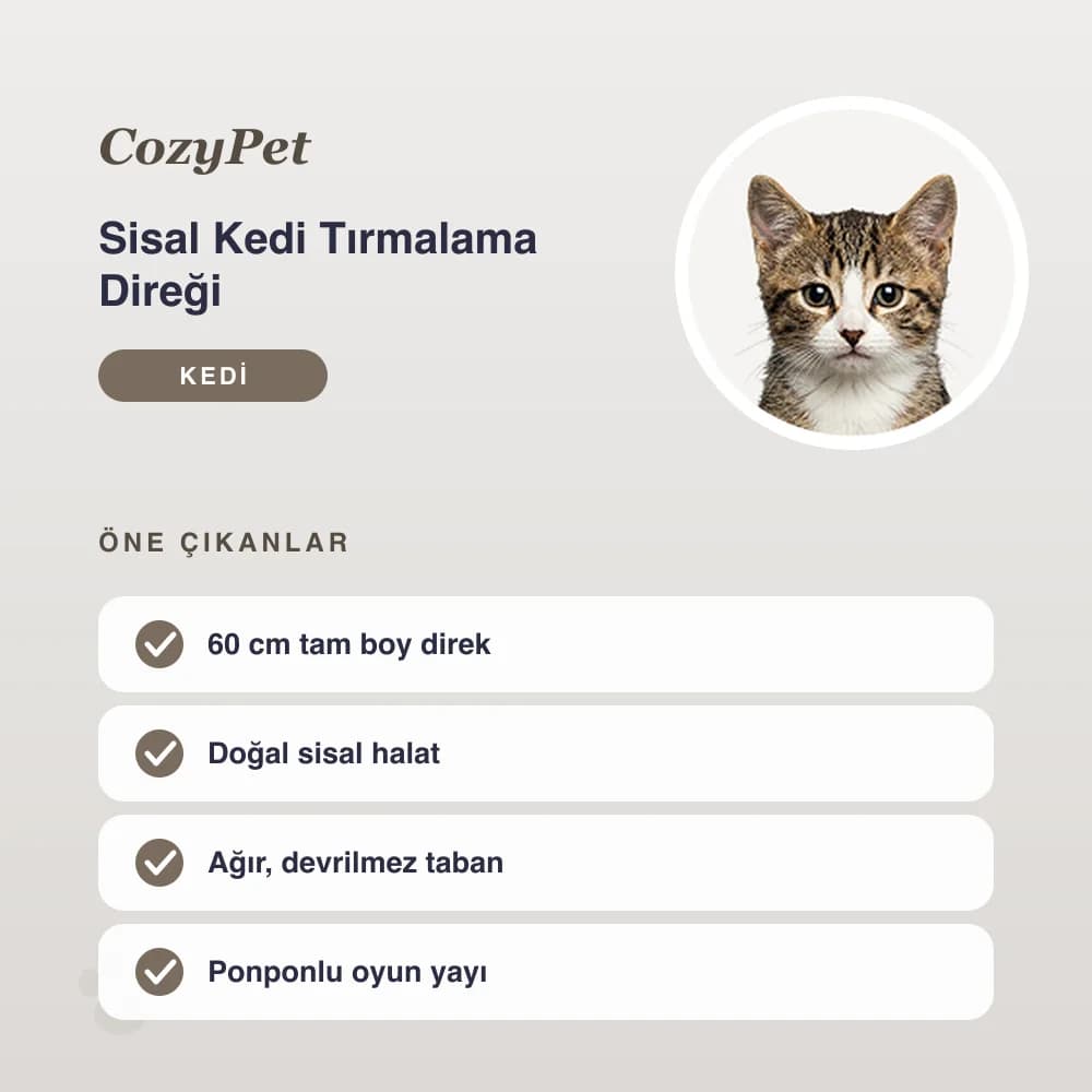 Sisal Kedi Tırmalama Direği 60 cm – öne çıkan özellikler