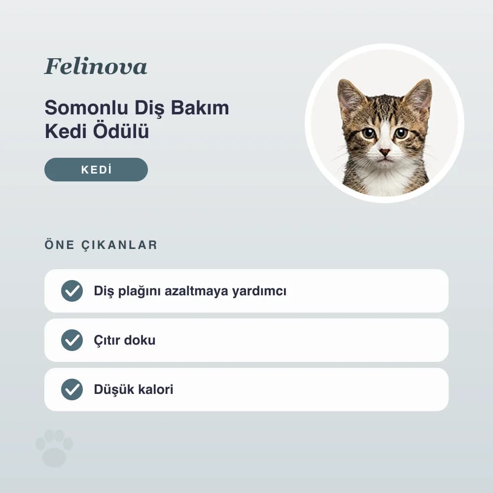 Somonlu Diş Bakım Kedi Ödülü 60 g – öne çıkan özellikler