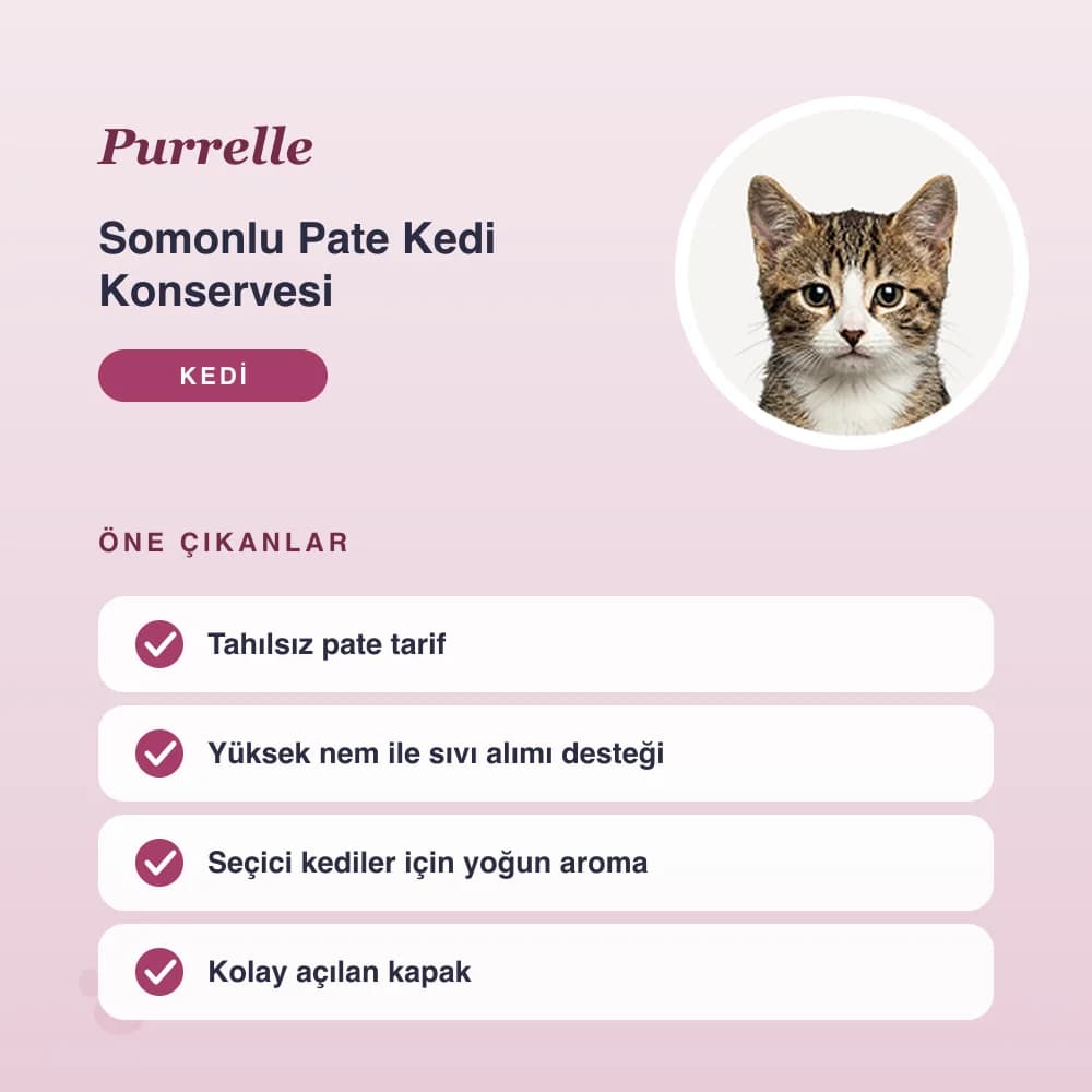 Somonlu Pate Kedi Konservesi 400 g – öne çıkan özellikler