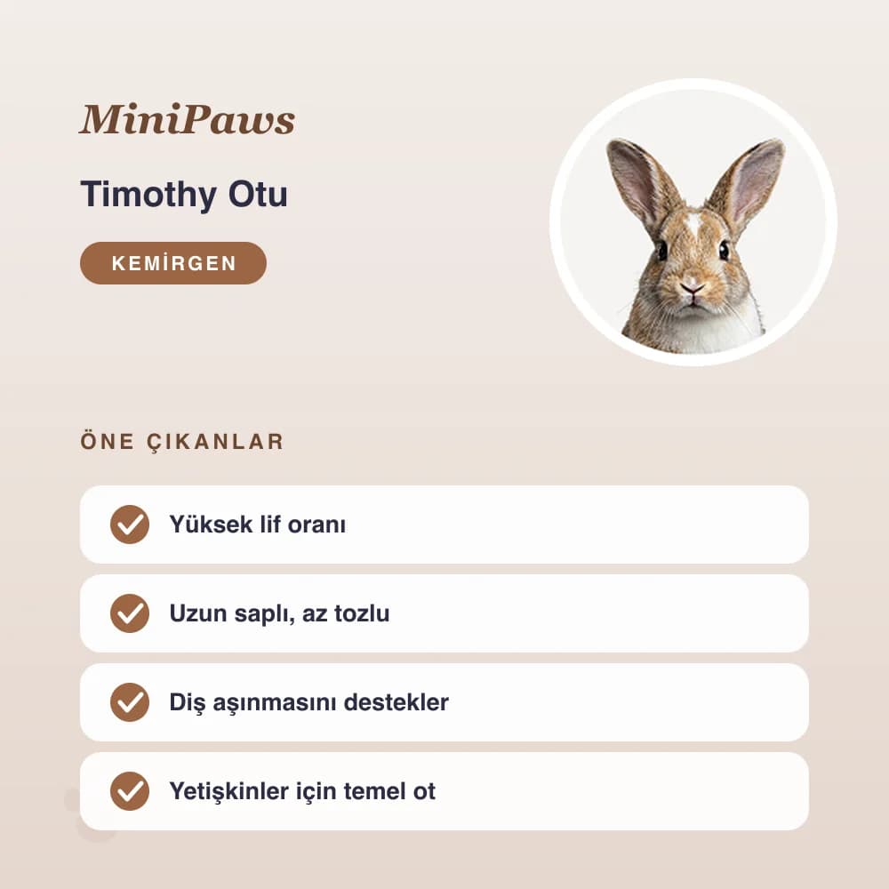 Timothy Otu 1 kg – öne çıkan özellikler