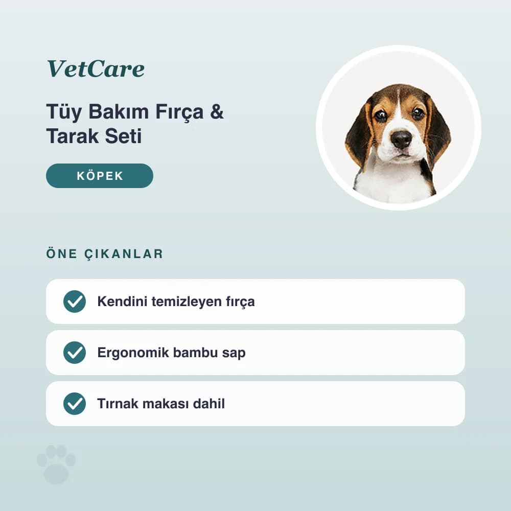 Tüy Bakım Fırça & Tarak Seti – öne çıkan özellikler