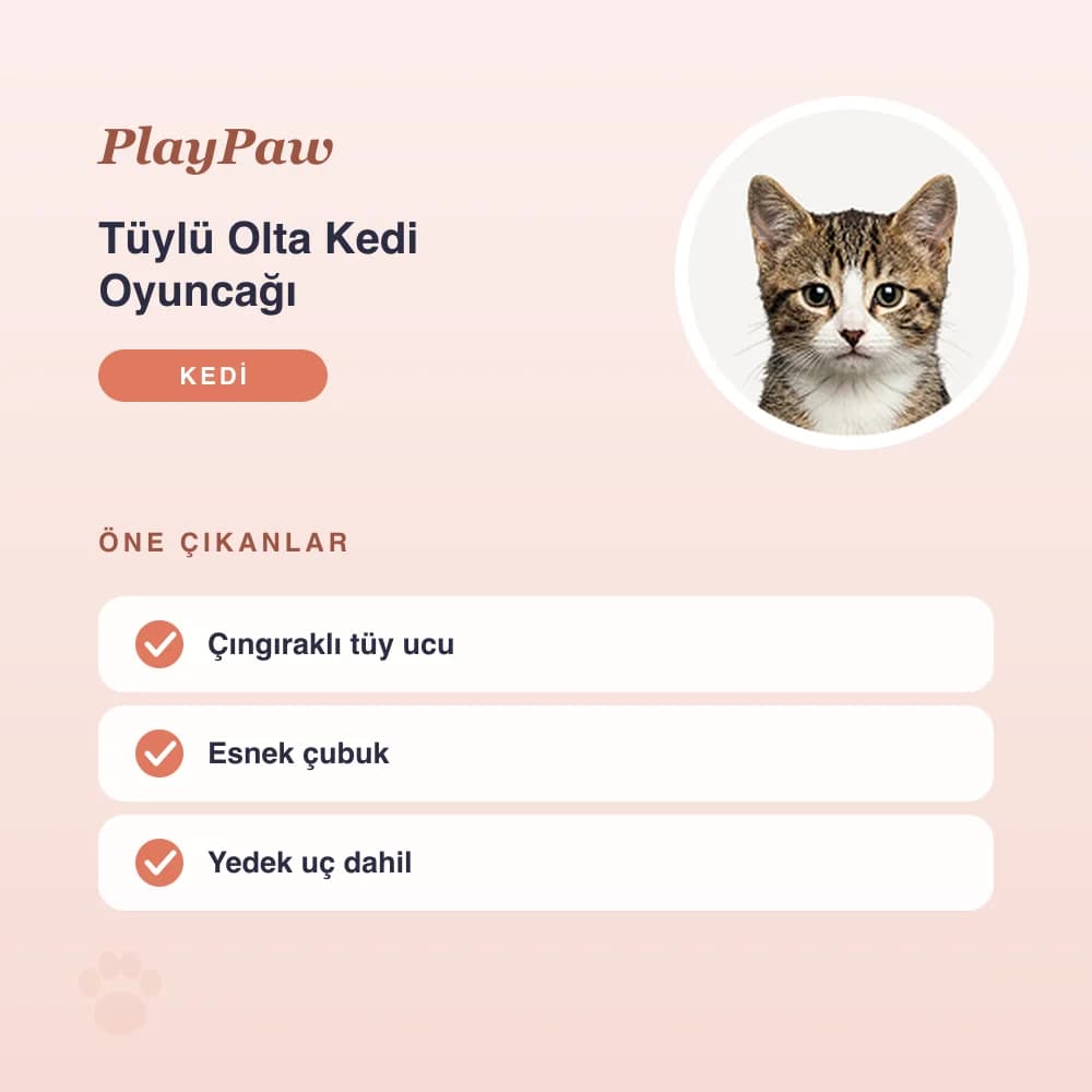 Tüylü Olta Kedi Oyuncağı – öne çıkan özellikler