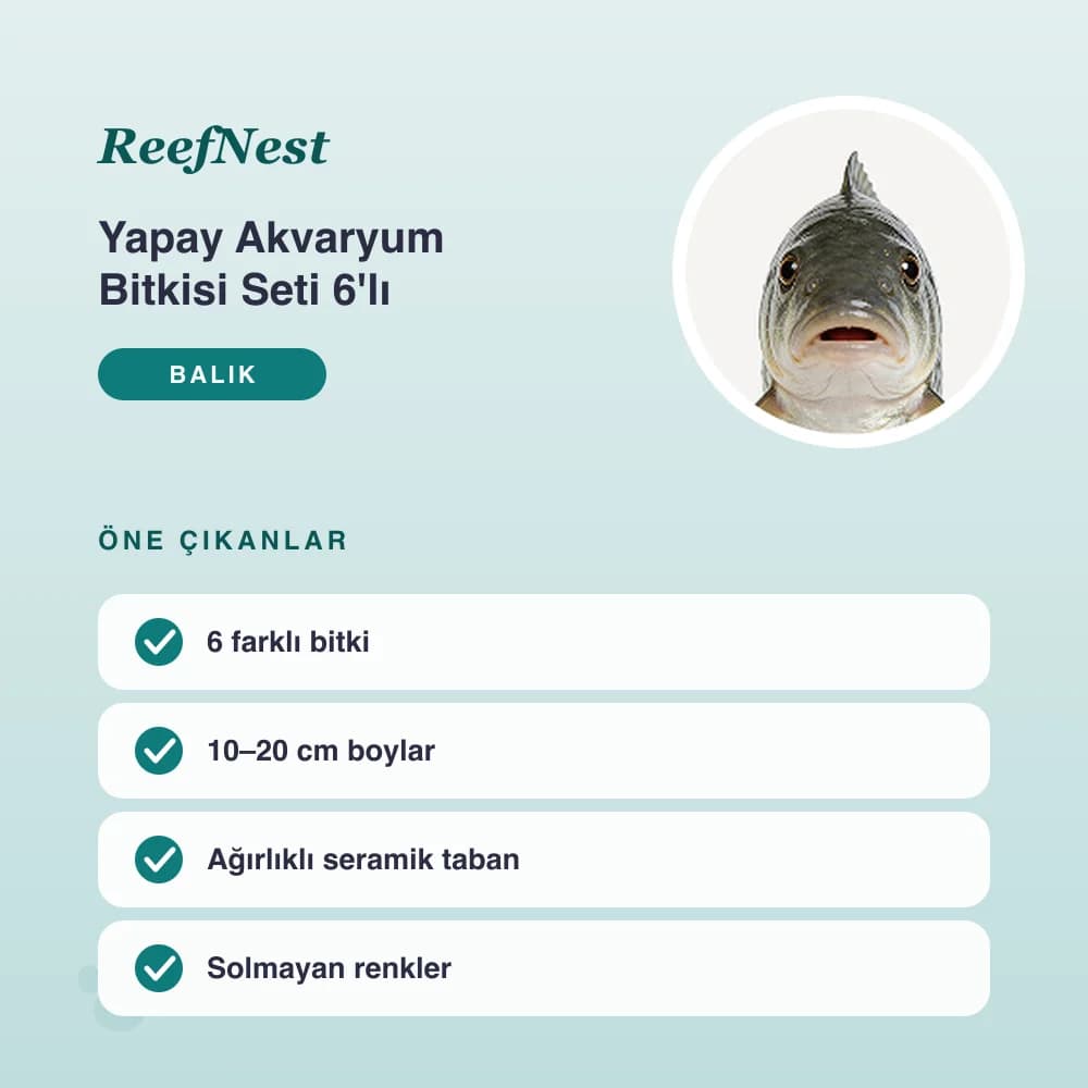 Yapay Akvaryum Bitkisi Seti 6'lı – öne çıkan özellikler