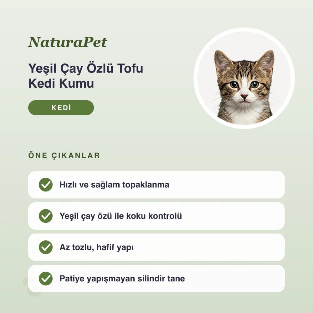 Yeşil Çay Özlü Tofu Kedi Kumu 6 L – öne çıkan özellikler