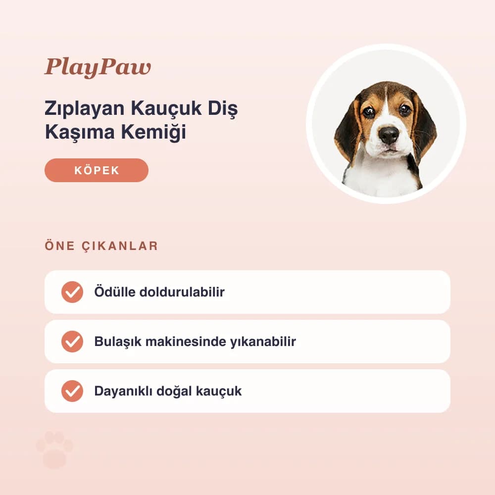 Zıplayan Kauçuk Diş Kaşıma Kemiği – öne çıkan özellikler