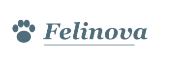Felinova logosu